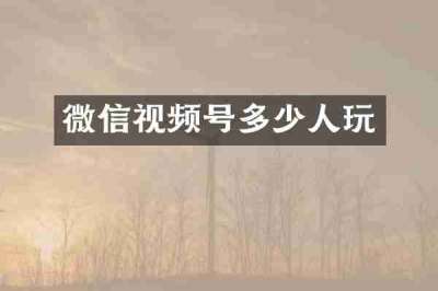 微信视频号多少人玩