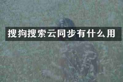 搜狗搜索云同步有什么用