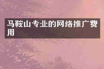 马鞍山专业的网络推广费用
