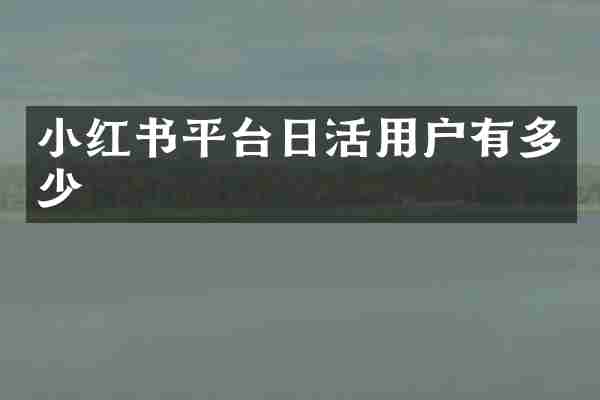 小红书平台日活用户有多少