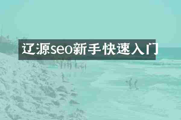 辽源seo新手快速入门
