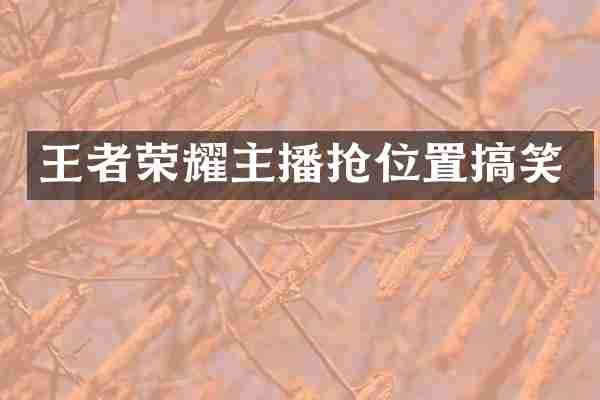 王者荣耀主播抢位置搞笑