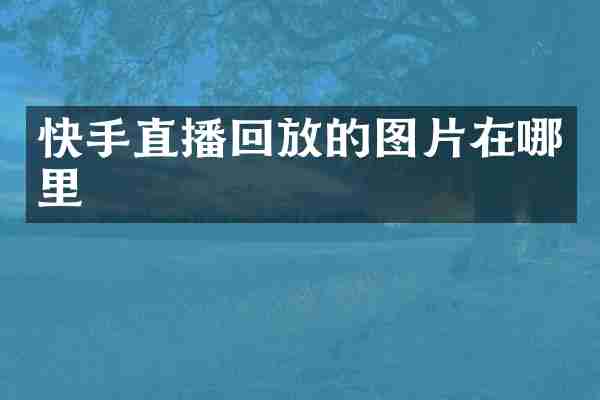 快手直播回放的图片在哪里