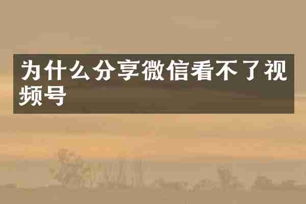 为什么分享微信看不了视频号