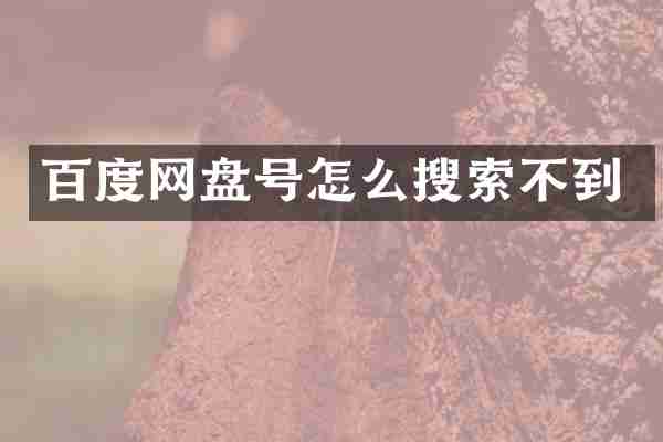 百度网盘号怎么搜索不到