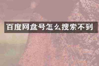 百度网盘号怎么搜索不到