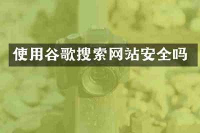 使用谷歌搜索网站安全吗