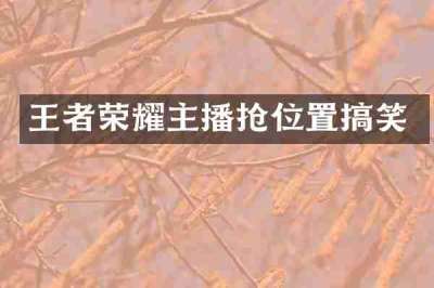王者荣耀主播抢位置搞笑