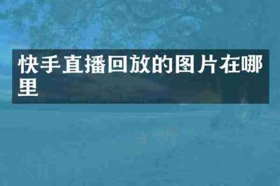 快手直播回放的图片在哪里