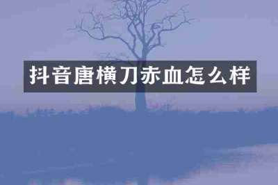 抖音唐横刀赤血怎么样