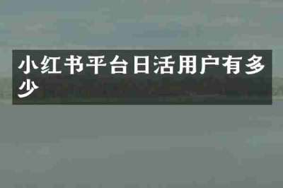 小红书平台日活用户有多少