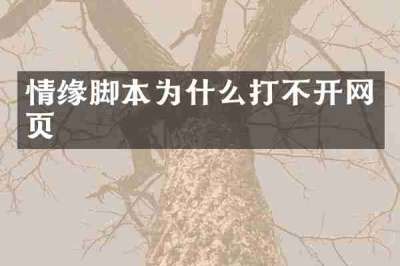 情缘脚本为什么打不开网页