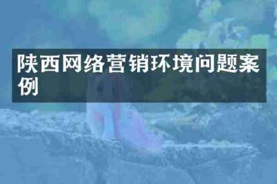陕西网络营销环境问题案例