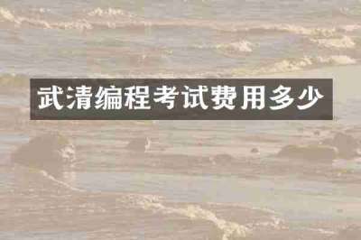 武清编程考试费用多少