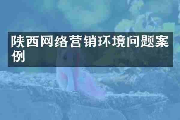 陕西网络营销环境问题案例