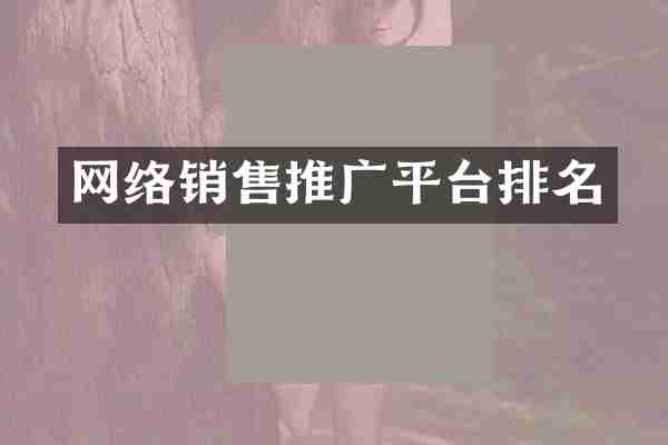 网络销售推广平台排名