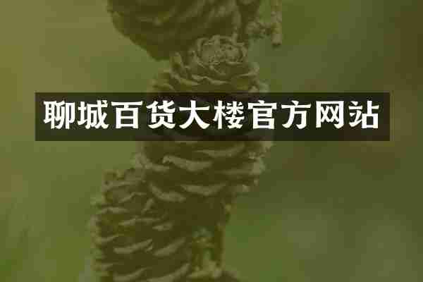 聊城百货大楼官方网站