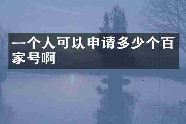 一个人可以申请多少个百家号啊