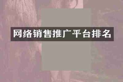 网络销售推广平台排名