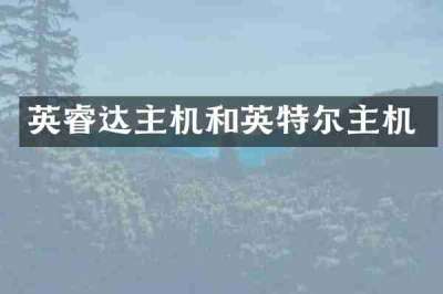 英睿达主机和英特尔主机