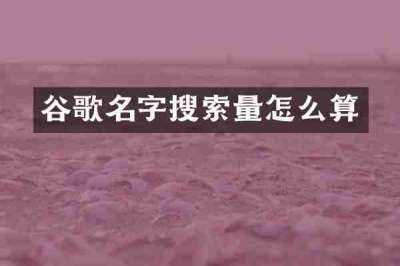 谷歌名字搜索量怎么算