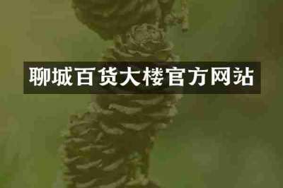 聊城百货大楼官方网站