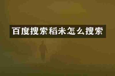 百度搜索稻米怎么搜索