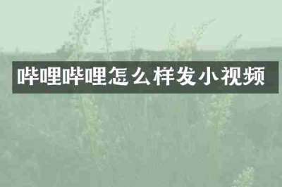 哔哩哔哩怎么样发小视频