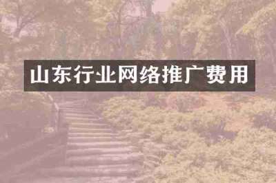 山东行业网络推广费用