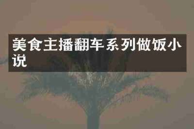 美食主播翻车系列做饭小说