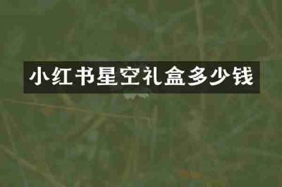 小红书星空礼盒多少钱