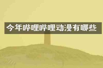 今年哔哩哔哩动漫有哪些