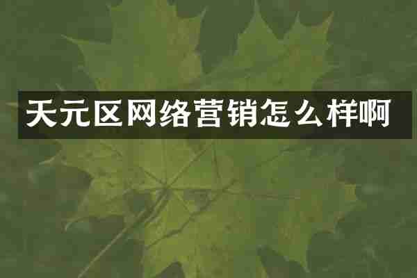 天元区网络营销怎么样啊
