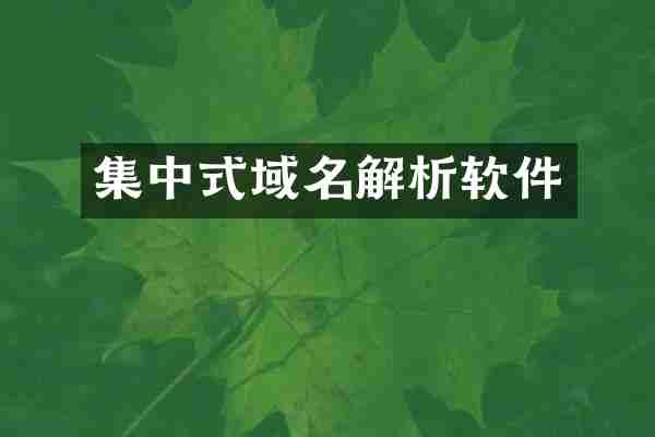 集中式域名解析软件