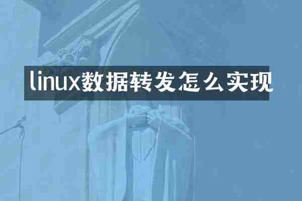 linux数据转发怎么实现