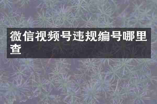 微信视频号违规编号哪里查