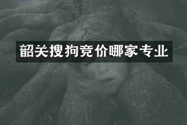 韶关搜狗竞价哪家专业