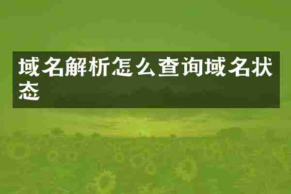 域名解析怎么查询域名状态