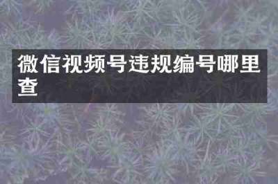 微信视频号违规编号哪里查