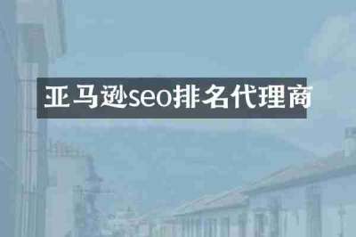 亚马逊seo排名代理商