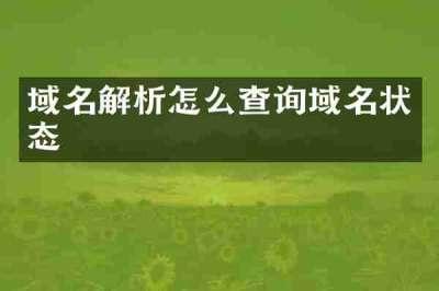 域名解析怎么查询域名状态