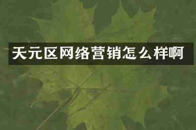 天元区网络营销怎么样啊