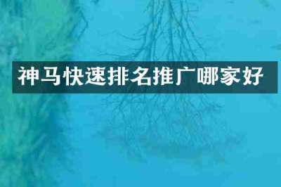 神马快速排名推广哪家好
