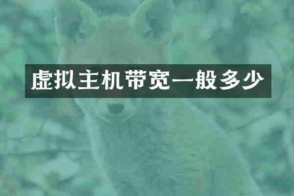 虚拟主机带宽一般多少