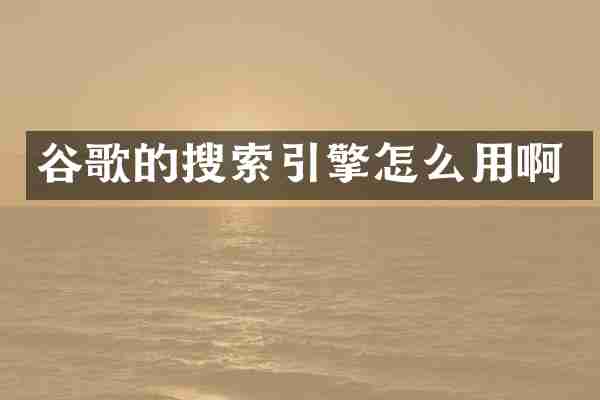 谷歌的搜索引擎怎么用啊