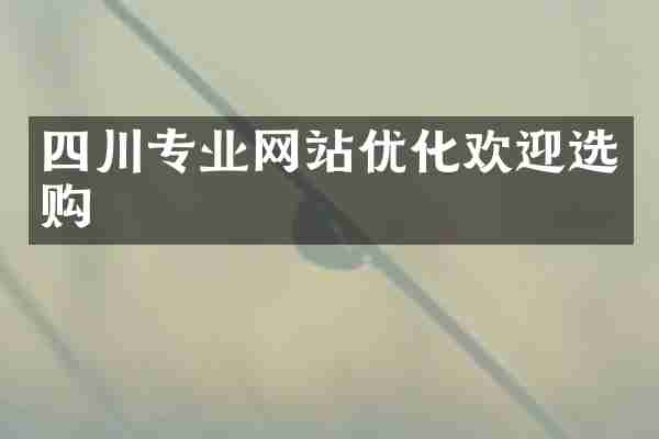 四川专业网站优化欢迎选购