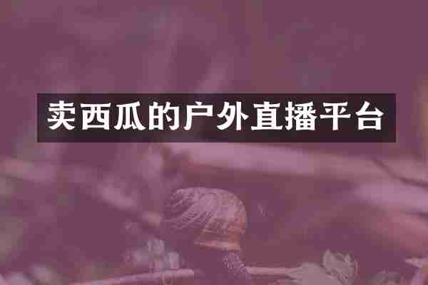 卖西瓜的户外直播平台