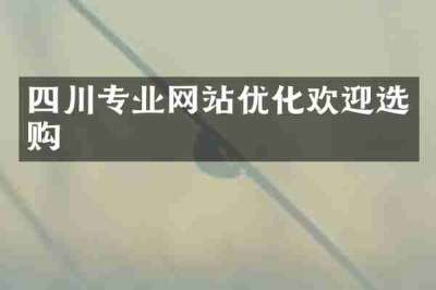 四川专业网站优化欢迎选购