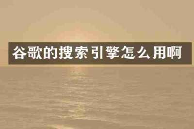 谷歌的搜索引擎怎么用啊