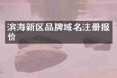 滨海新区品牌域名注册报价